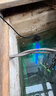 創(chuàng  )朗錦鯉魚(yú)池殺菌燈水池除藻凈水紫外線(xiàn)燈過(guò)濾戶(hù)外潛水魚(yú)缸滅菌燈凈水 曬單實(shí)拍圖