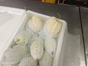 農(nóng)大姐妹【順豐】蘋果苦瓜生吃 白玉苦瓜 新鮮蔬菜現(xiàn)摘涼瓜 壽光基地直發(fā) 5斤 曬單實(shí)拍圖