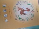 亲近母语·经典童书阅读指导版：小鹿班比 实拍图