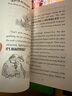 英文原版 了不起的狐貍爸爸 Fantastic Mr Fox 羅爾德達爾系列 Roald Dahl 兒童文學小說 青少年課外閱讀故事書 綠山墻 曬單實拍圖