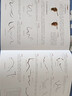  正統(tǒng)工筆花鳥技法入門 零基礎(chǔ)教程書籍中國工筆畫白描勾線牡丹上色涂色宋畫臨摹 曬單實(shí)拍圖
