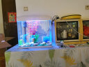 SEA STAR生态海 星小鱼缸客厅小型水族箱创意迷你玻璃家用懒人造景LED灯 500F布景套装（带20件套） 实拍图