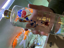 軍瀛普天同慶龍年生肖酒 白酒禮盒  貴州茅臺鎮(zhèn)濃香型 52度 1500mL 5瓶 整箱 曬單實(shí)拍圖