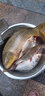 迎科 雙槽新關(guān)東無倒刺釣魚鉤釣鉤漁鉤散裝競技鯽魚鉤鯉魚鉤 黑 雙槽新關(guān)東   5#30枚裝 曬單實拍圖