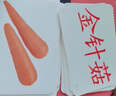樂(lè )優(yōu)右腦 早教閃卡百科卡識字版 蔬菜水果動(dòng)物花卉顏色食物早啟智5月-6歲 蔬菜類(lèi)30張 曬單實(shí)拍圖