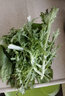 玫梔 蔬菜沙拉菜球生菜生吃輕食混合新鮮沙拉多種蔬菜健身套餐需清洗 1000g 曬單實(shí)拍圖