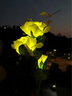 Komebrite 太陽能燈庭院燈花園別墅裝飾燈仿真玫瑰花燈戶外防水插地草坪燈 太陽能3頭【2只裝】粉玫瑰 太陽能插地草坪燈 曬單實拍圖