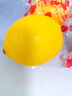 優(yōu)味集檸檬【JD順豐速發(fā)】進(jìn)口香水無(wú)籽黃檸檬水果時(shí)令桔整箱生鮮果 250g凈重裝（試嘗鮮-貴在運費） 商超級單果120-150g 曬單實(shí)拍圖