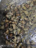 秋爽昊瀚5斤新鮮活湖螺絲肉的泥螺包活的螺螄粉現捕現發(fā)石螺剪尾淡水十斤 3斤 鮮活（清洗干凈） 1500g 曬單實(shí)拍圖