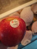 香果顏紅玫瑰蘋(píng)果新鮮水果 送禮精選脆甜蘋(píng)果進(jìn)口生鮮時(shí)令 精選10個(gè)裝單果約130-150g 曬單實(shí)拍圖