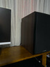丹拿（DYNAUDIO） Emit M20 意境無源書架音箱木質丹麥HIFI高保真 胡桃木色 曬單實拍圖