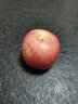 靈寶蘋(píng)果 正宗靈寶寺河山紅富士蘋(píng)果新 鮮應季水果 紅富士蘋(píng)果 精品裝  5斤（70mm）  源頭直發(fā) 曬單實(shí)拍圖