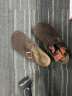 Devo Life的沃软木鞋情侣时尚四季休闲牛皮 包头鞋女士拖鞋外穿3624 深棕反绒牛皮 34 实拍图