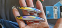 藍旗魚(yú)新品詭道魚(yú)鱗沉水鉛筆超遠投顫泳翹嘴鱸魚(yú)路亞餌假餌 魚(yú)鱗香魚(yú) 86mm/18g 一支裝 曬單實(shí)拍圖