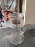 76 茶具套裝功夫茶具玻璃自動茶具套裝懶人全自動磁吸泡茶器耐熱透明功夫茶杯茶壺簡約家用創(chuàng)意日式懶人泡 夜渺磁吸壺單泡茶壺 曬單實拍圖