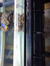 魚(yú)缸上過(guò)濾水槽魚(yú)缸過(guò)濾器上置過(guò)濾槽可加層 滴流盒小盒過(guò)濾支架 龜缸過(guò)濾盒雨淋夢(mèng)雷寵 1層黑色3盒 曬單實(shí)拍圖