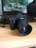 尼康（Nikon） D7500 数码 单反相机 入门单反  d7500 套机 AF-S 50mm/1.8G 实拍图