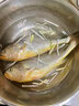 海鮮頌黃花魚 活凍大黃魚深海捕撈 魚類速凍黃瓜魚 海鮮水產(chǎn)年貨 海捕黃花魚500g/2-3條 曬單實拍圖