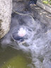 漁師傅 三頭五頭霧化器魚(yú)池霧化器造霧水池假山煙霧噴霧噴淋器 3頭帶燈霧化器+防水電源+浮漂 曬單實(shí)拍圖