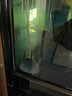森森（SUNSUN）氣泡石氧氣泵用高溫燒結氣餅氣盤(pán)水族箱增氧泵多規格氣盤(pán)石 半球直徑60mm 曬單實(shí)拍圖