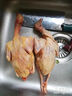 鮮京采 乳鴿 600g 兩只裝 凈膛鴿子冷凍 燒鴿子煲湯食材 源頭直發(fā) 曬單實拍圖