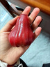 海南新鮮黑珍珠蓮霧當季熱帶水果霧蓮果一整箱特產(chǎn)孕婦水果10斤裝 5斤 曬單實拍圖