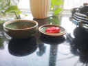 傳璽 精品秘青瓷高蓋印泥盒印泥缸 瓷器盒 加固防震特制包裝 2#(內徑6cm宜放30g印泥) 曬單實(shí)拍圖