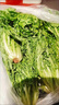 苦菊生菜新鮮蔬菜沙拉食材苦苣狗牙菜西餐健身輕食苦細葉生菜 500g 曬單實拍圖