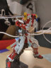 万代（BANDAI） 高达模型 RG 1/144 机动战士 敢达玩具 金刚机器人 男生礼物 RG 19 红色异端 实拍图