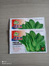 雞毛菜種子 18天可吃四季小白菜青菜油菜種籽 陽(yáng)臺盆栽蔬菜蔬萊孑 雞毛菜原裝 約2000粒 2包 曬單實(shí)拍圖