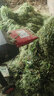 豫滎致富分體式鍘草機揉絲粉碎一體新款家用養殖打草機養殖喂牛羊干濕兩用 柔絲頭可拆卸】6.8噸+7.5千瓦 380v工業(yè)三相電純銅電機 曬單實(shí)拍圖