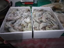 頤晟泰鮮活冷凍迷你小八爪魚 網(wǎng)紅爆頭小章魚火鍋燒烤食材海鮮水產(chǎn) 迷你小八爪魚2斤裝 曬單實拍圖
