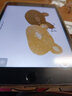 潤哲 適用ipad類(lèi)紙膜2021版10.2英寸繪畫(huà)2020款air4/3平板磨砂pro11磁吸類(lèi)紙膜 【書(shū)寫(xiě)繪畫(huà).肯特類(lèi)紙膜可貼鋼化膜上】1片+5個(gè)筆套 iPad mini5(7.9英寸) 曬單實(shí)拍圖