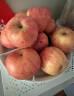 沙窝曙光陕西洛川红富士苹果水果新鲜脆甜冰糖心时令应季丑苹果水果礼盒 带箱5斤大果装  （净重4.5-5斤） 实拍图