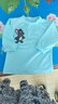 靈蘭 牛奶絲面料 針織四面彈力氨綸布料 椅套 演出服裝 舞臺吊頂裝飾 044#蒂芙藍 曬單實拍圖