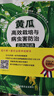 掃碼看視頻·輕松學(xué)技術(shù)叢書(shū)：黃瓜高效栽培與病蟲(chóng)害防治彩色圖譜 曬單實(shí)拍圖