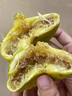 菓靈稥新疆無花果新鮮水果阿圖什樹上糖包子應(yīng)季孕婦健康果中秋節(jié)禮盒 精選10顆大果禮盒 產(chǎn)地直發(fā) 送禮佳品 曬單實拍圖