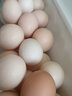 香丹青農家田園新鮮土雞蛋30枚40枚 雜糧喂養笨雞蛋草雞蛋特產(chǎn)生鮮雞蛋 30枚 曬單實(shí)拍圖