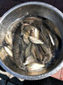 釣嗨尼太空豆競技太空豆硅膠太空豆緊大號釣魚(yú)用品漁具小配件硅膠套裝全 斑點(diǎn)大物無(wú)影豆-中號（單組）適合線(xiàn)徑10-15# 曬單實(shí)拍圖