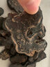 益陽(yáng)堂 肉蓯蓉內蒙古阿拉善肉蓯蓉干鎖陽(yáng)雙雄男性滋補品泡酒料 肉蓯蓉片250克 曬單實(shí)拍圖
