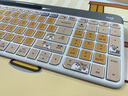 羅技（Logitech） K580 無(wú)線(xiàn)鍵盤(pán) 藍牙辦公鍵盤(pán) 小劉鴨IP聯(lián)名款鍵盤(pán) 生日節日禮物 k580鍵盤(pán)（芍藥白）【小劉鴨-困貼紙款】 曬單實(shí)拍圖