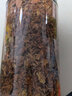 羅漢果花廣西桂林永福特產(chǎn)今年新貨野生吸煙者咽茶炎泡茶花茶涼茶 推薦試喝 1瓶=168克 曬單實(shí)拍圖