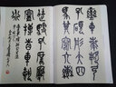 吳昌碩臨石鼓文 彩色放大本中國著名碑帖 圖書 曬單實拍圖