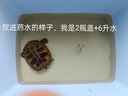 博晟洋龜速康1 2 3號烏龜藥土霉素感冒肺炎白眼腸炎腐皮爛甲外傷疥瘡白 100ml 1瓶 2號【爛甲白點(diǎn)水霉水缸及設備消毒 曬單實(shí)拍圖