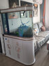 歐寶子彈頭魚(yú)缸客廳家用大型屏風(fēng)生態(tài)水族箱循環(huán)底過(guò)濾智能懶人金魚(yú)缸 106x43x85/75 cm 曬單實(shí)拍圖
