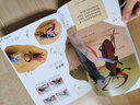 剪紙昆蟲館：奇異蟲蟲大集合-精選益智游戲叢書（啟發(fā)出品） 曬單實拍圖