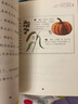 自然郵遞員 正版豆粒兒你的信四季春夏秋冬萬物生長自然規(guī)律幽默書信集 小學(xué)生一二年級百班千人經(jīng)典兒童文學(xué)名著可愛閱讀書籍 曬單實拍圖