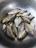 漁家傲 魚(yú)餌料中魚(yú)系列冬春季魚(yú)餌野釣黑坑魚(yú)料鯽魚(yú)食鯉魚(yú)草魚(yú)釣餌 【腥香綜合餌】450克/包發(fā)三包 曬單實(shí)拍圖