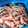 沃鮮匯北極甜蝦 熟凍北極蝦 化凍即食 生鮮蝦類(lèi) 精選腹籽 凈重3斤【80-100】 曬單實(shí)拍圖