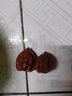 老農(nóng)哥官帽獅子頭文玩核桃賭青皮把玩核桃麻核桃綠皮原果綠果帶皮10顆 10個(gè)獅子頭 61-62mm 曬單實(shí)拍圖